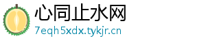 心同止水网
